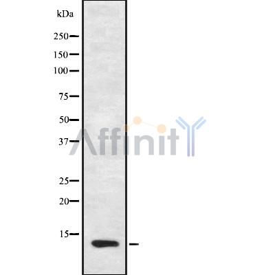 Валидация Affinity DF8918 - 21051