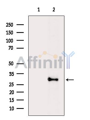 Валидация Affinity DF8376 - 20246