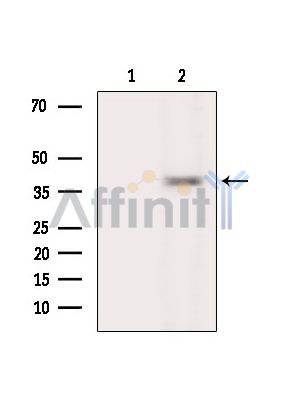 Валидация Affinity DF2216 - 12744