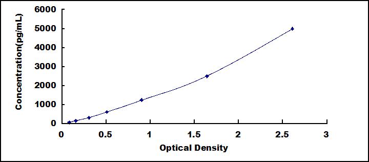65145