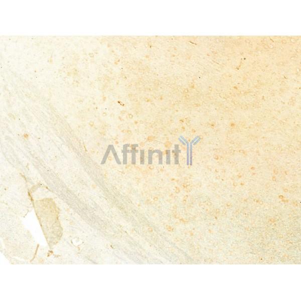 Валидация Affinity AF5128 - 2504