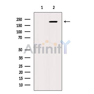 Валидация Affinity DF9313 - 21778