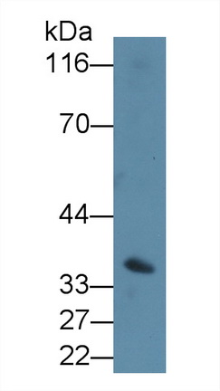 5506