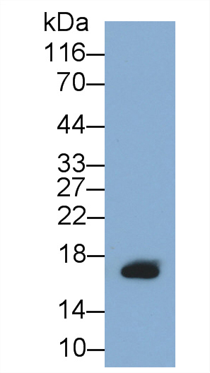 59891