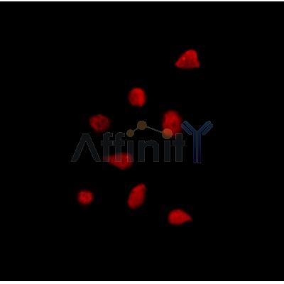 Валидация Affinity DF9080 - 21359
