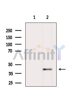 Валидация Affinity DF15592 - 12009