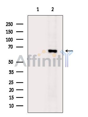 Валидация Affinity DF15613 - 12041