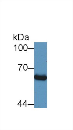 8449