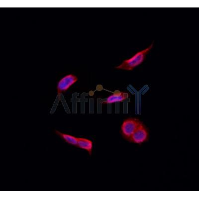 Валидация Affinity DF3160 - 13963