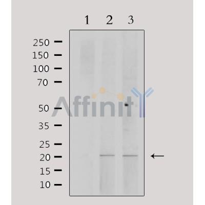 Валидация Affinity DF3361 - 14232