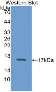 55180