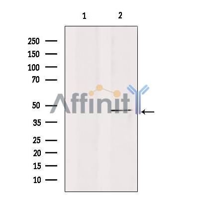 Валидация Affinity DF3188 - 13999
