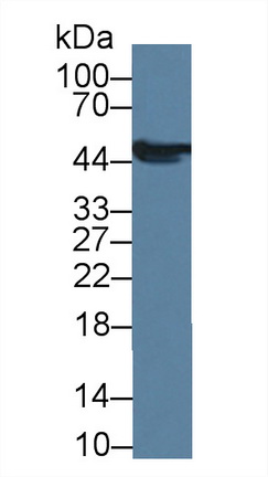 8344