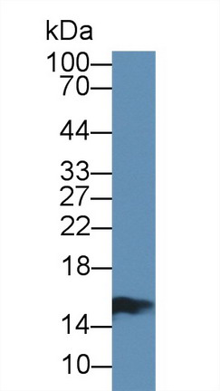 8470