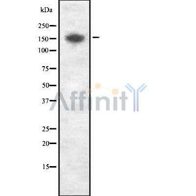 Валидация Affinity DF8506 - 20367