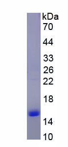 53595