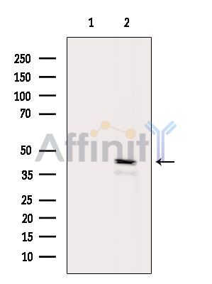 Валидация Affinity DF9476 - 22075