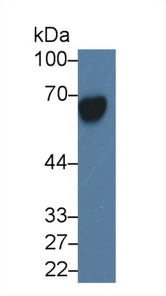 25149