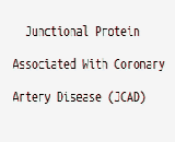 Junctional Protein Associated With Coronary Artery Disease (JCAD)