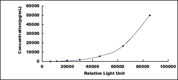 65069