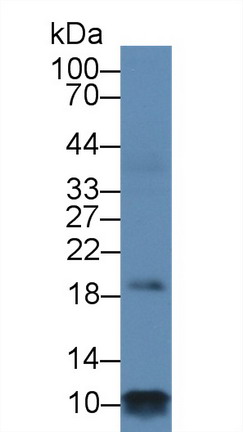 8653