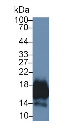 13309
