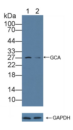12213