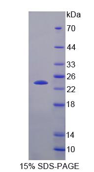 60314