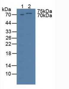 5583