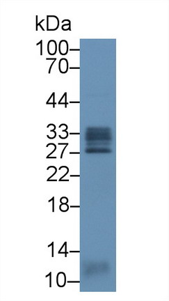 8610