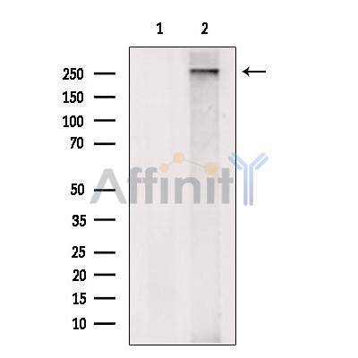 Валидация Affinity DF13504 - 8895