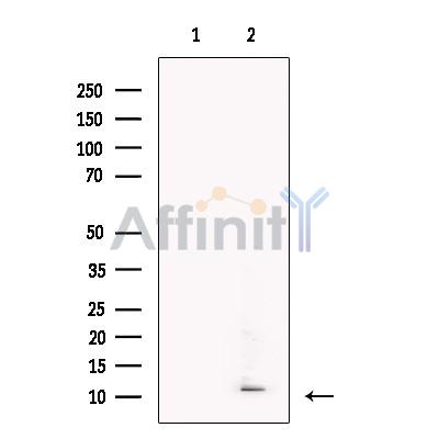 Валидация Affinity DF13367 - 8597