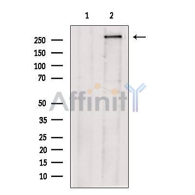 Валидация Affinity DF13674 - 9253