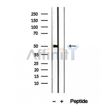 Валидация Affinity DF12305 - 6684