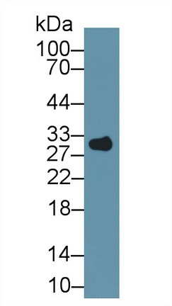 13384