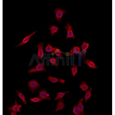 Валидация Affinity DF12256 - 6579