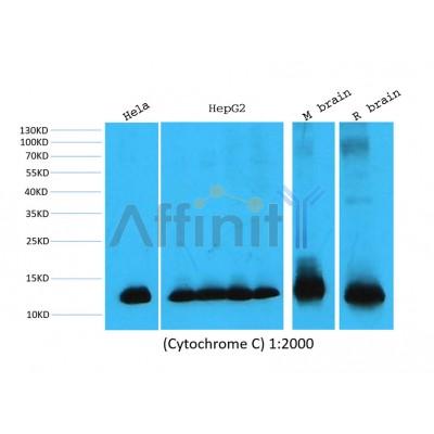 Валидация Affinity BF0714 - 5386