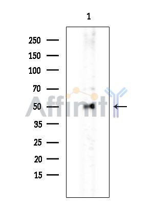 Валидация Affinity DF9715 - 22507