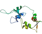 Myosin Light Chain 1, Alkali, Fast Skeletal (MYL1)