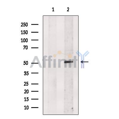 Валидация Affinity DF13593 - 9078