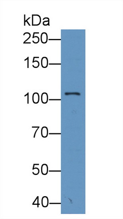 8692
