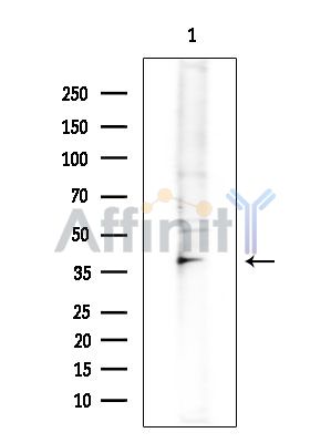 Валидация Affinity DF14438 - 10397