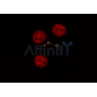 Валидация Affinity DF7176 - 18836