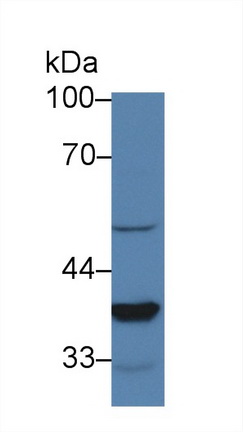 9377