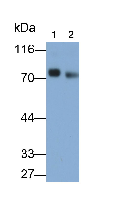 31821