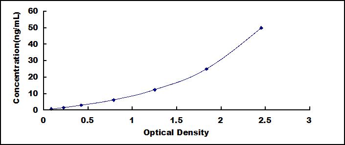 57815