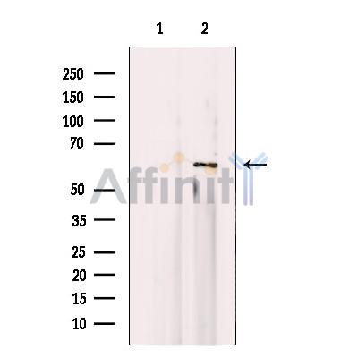 Валидация Affinity AF7923 - 4670