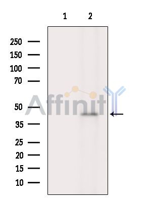 Валидация Affinity DF15824 - 12322