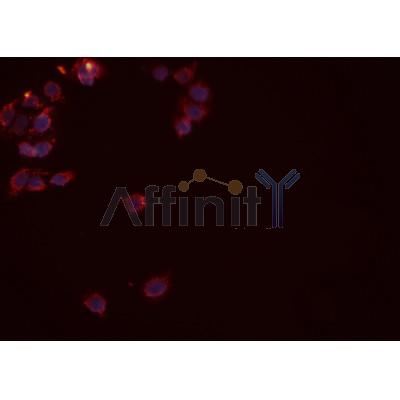 Валидация Affinity AF4731 - 2350