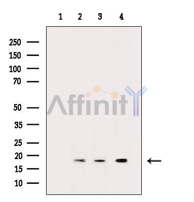 Валидация Affinity DF15280 - 11571